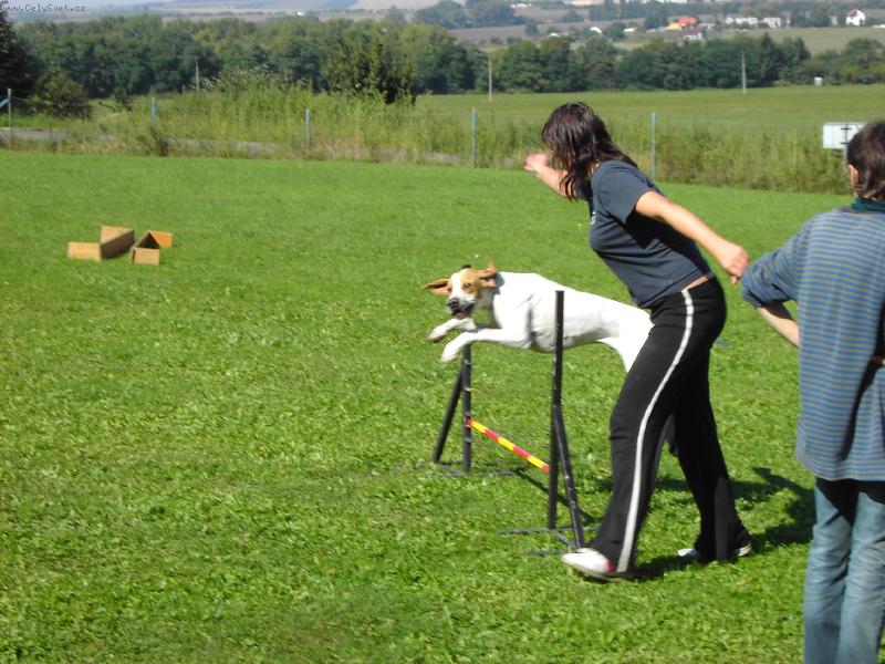 Foto: l�taj�c� Max-agility