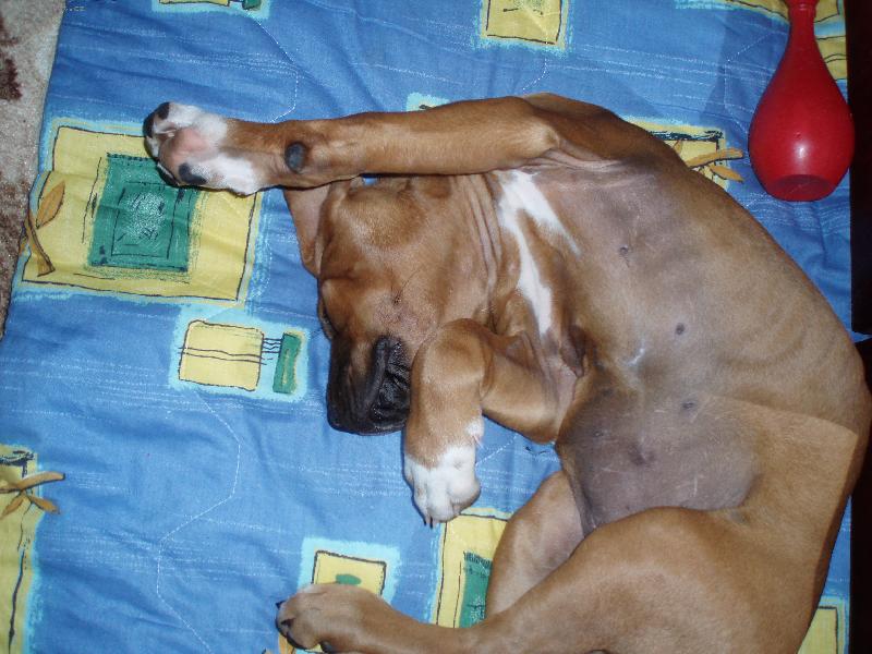 Foto: Destiny-tak takhle spinkam :o)