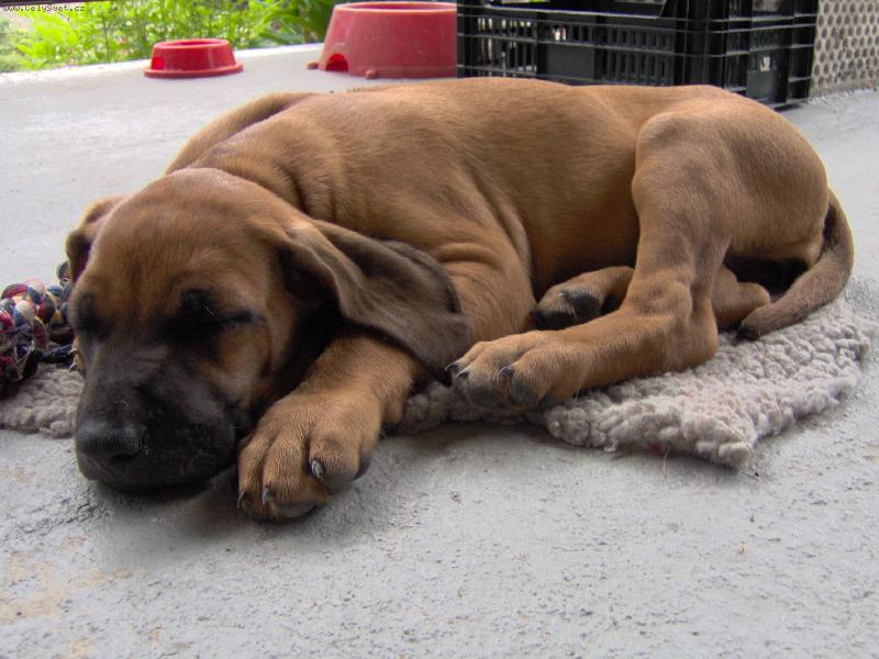 Foto: Meggy-Ospale�ek