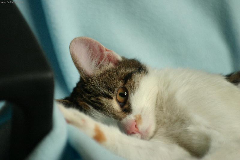 Foto: odpo��v�me