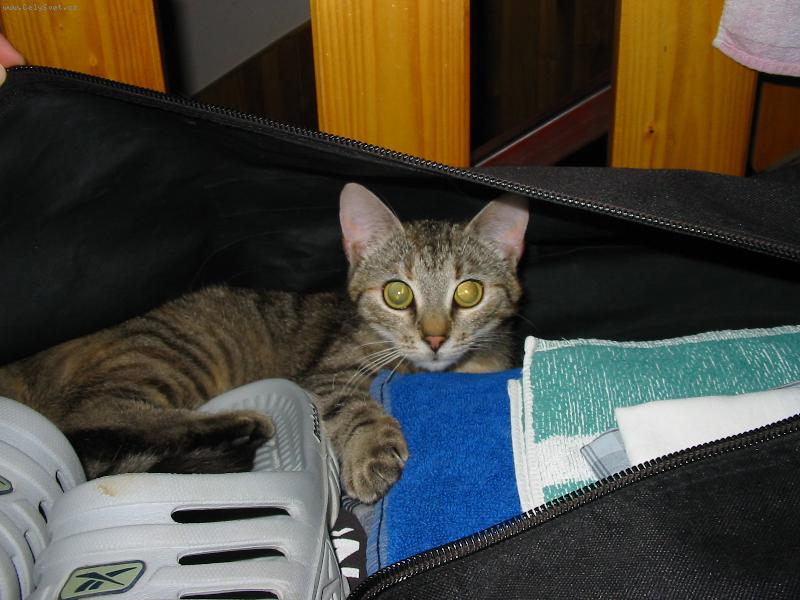 Foto: Nat�lie Hrazd�rov�-Micinka se bali na dovolenou