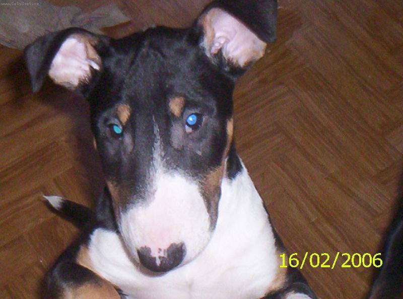 Foto: Mal� fany-to jsem byla je�t� miminko