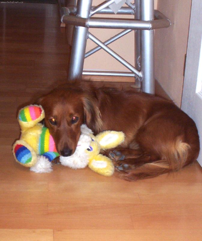 Foto: Max��ek-Max��ek a jeho u���ek