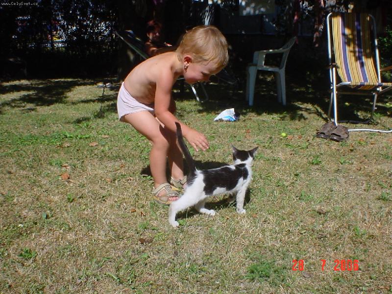 Foto: Dv� ko��tka