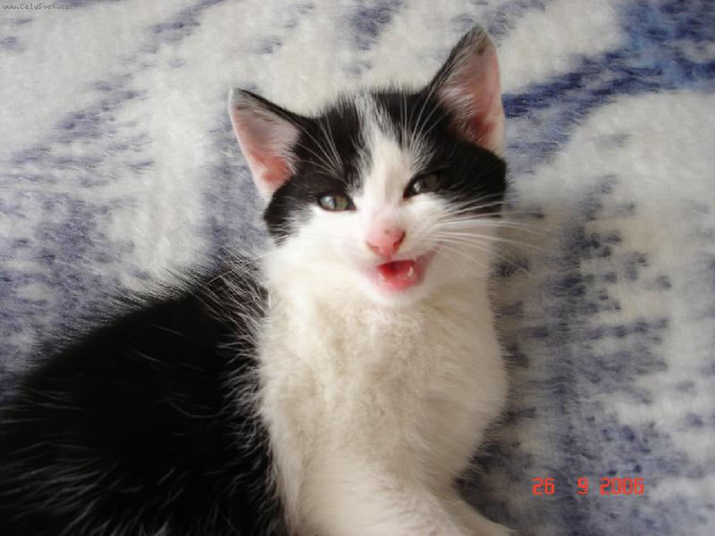 Foto: mal� up�rek