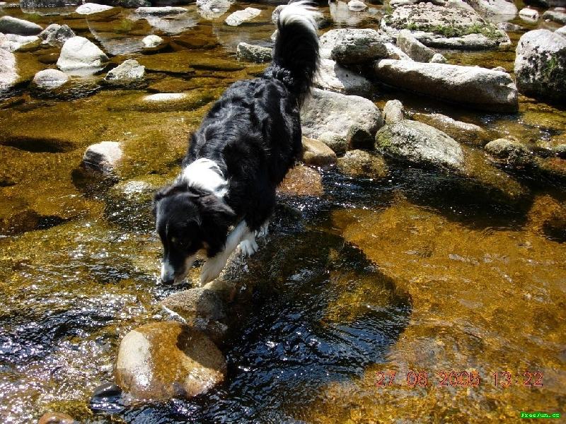 Foto: dik-no neni k se�r�n� ???