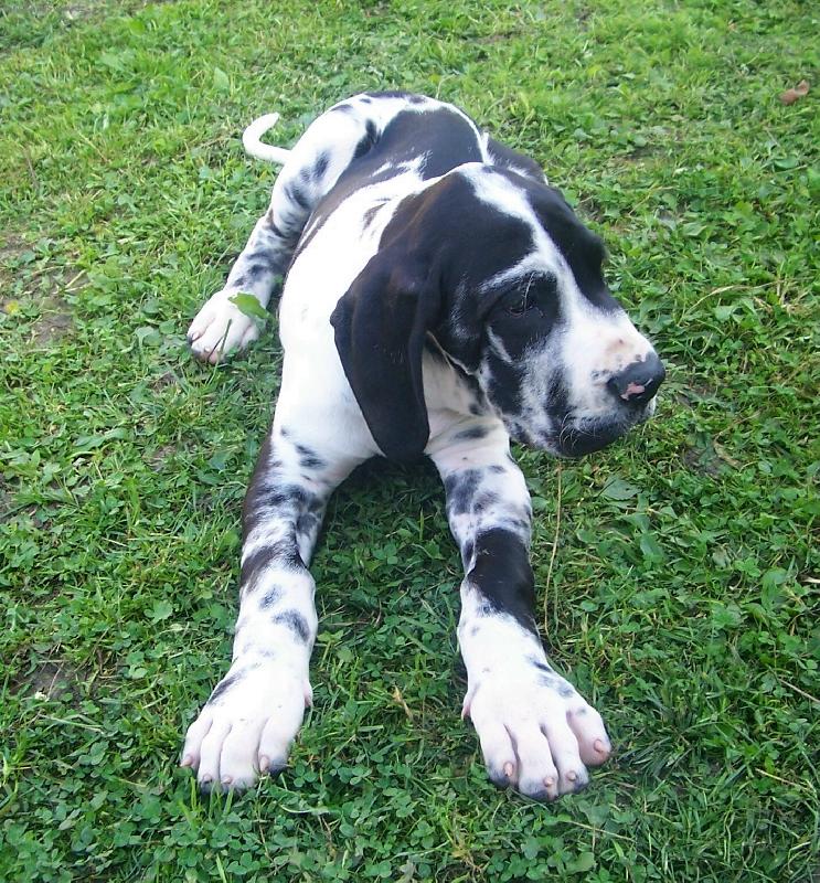 Foto: Na�e nov� miminko