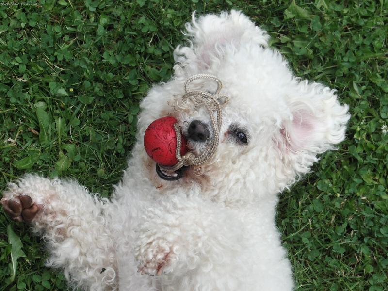Foto: U�atec-Siesta...