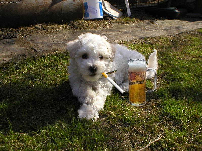 Foto: Fix�k-nekou�� a nepije