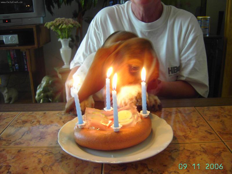 Foto: Oslava narozenin-U� jsou mi 4. roky!