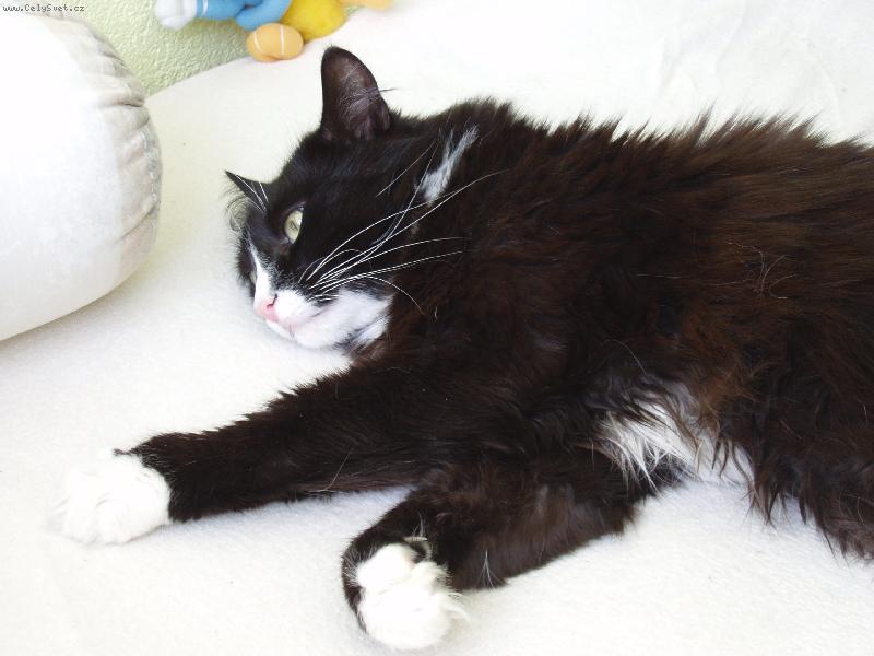 Foto: Jsem tak unaven�...