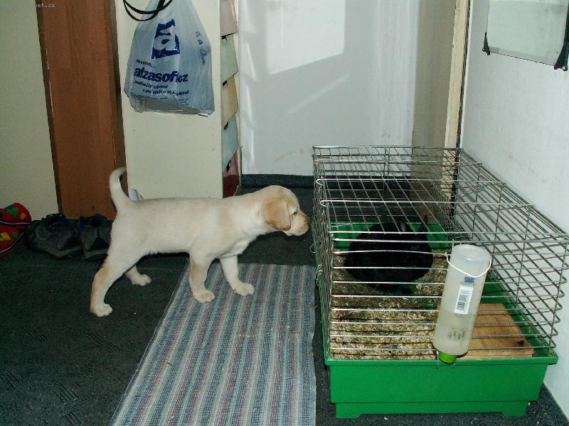 Foto: S�rinka a Berunek-Co mysl�, budou z n�s kamar�di?