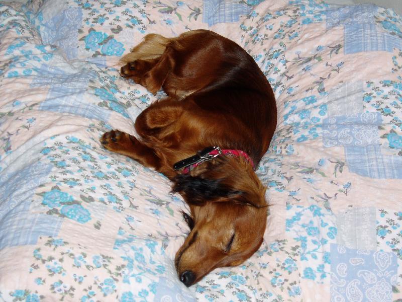 Foto: Pohoda kl�dek a leh�ro