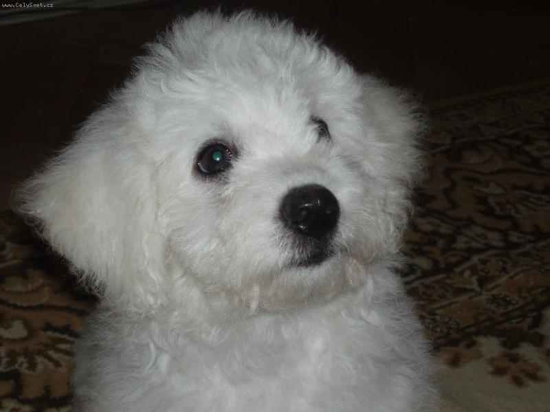 Foto: Na�e Bessynka