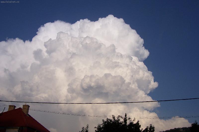 Foto: takov� mal� mr��ek