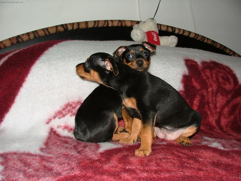 Foto: Nejlep�� k�mo�ky-Posledn� den u maminky