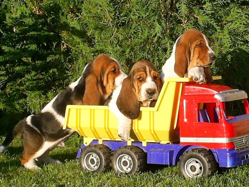 Foto: Vyr��me-Tak se po��dn� dr�te,jedem do sv�ta!