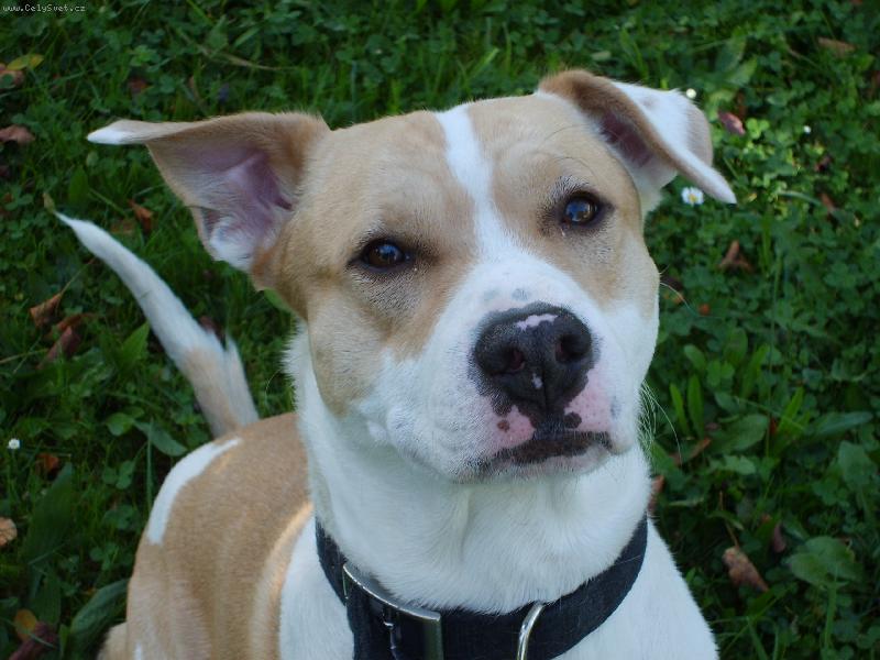 Foto: Copak to bude asi dobr�ho??