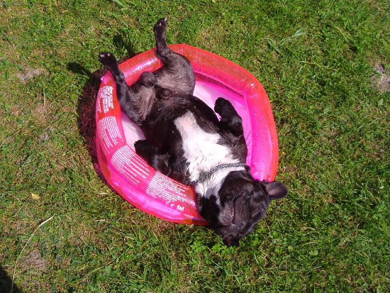 Foto: letn� koup�n�-vodi�ku m�m r�d