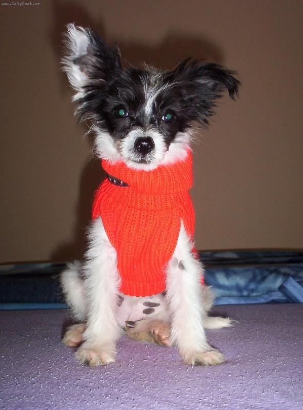 Foto: frajere�ka-p�ipravena na zimu, nevad� �e je kv�ten