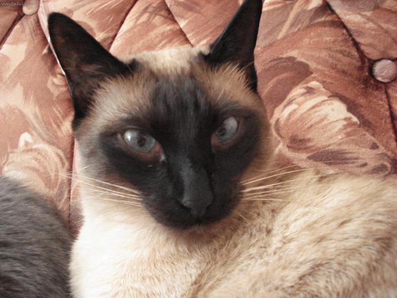 Foto: mike�ek po probuzen�:-)