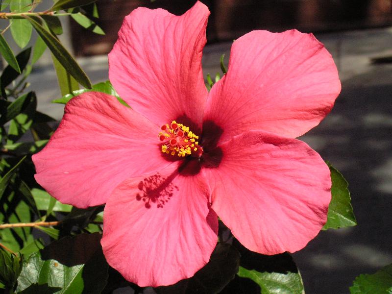 Foto: dovolen� a jej� kr�si