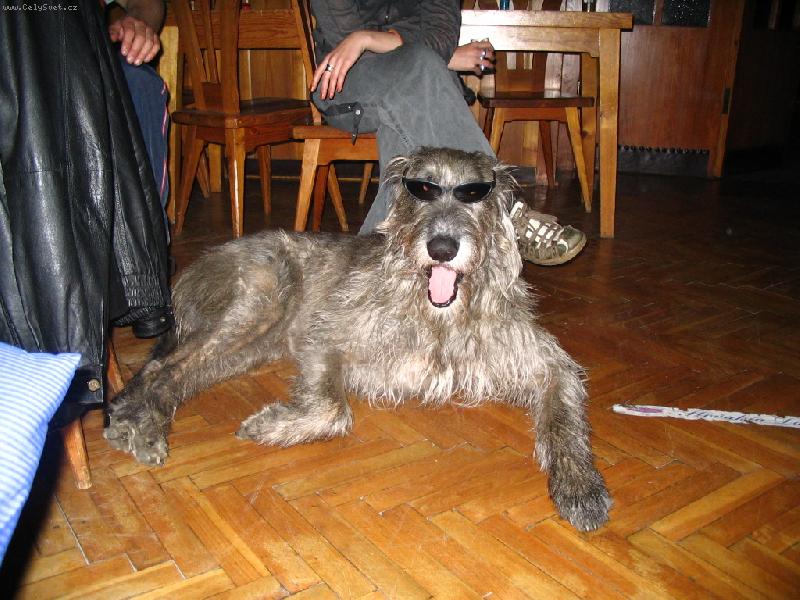 Foto: Bublinka-Na ��dn� akci nesm�m chyb�