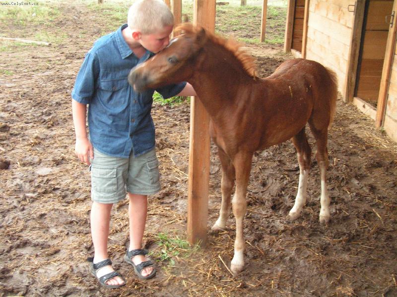 Foto: velk� l�ska-d�t� a h��b� p�i kontaktu