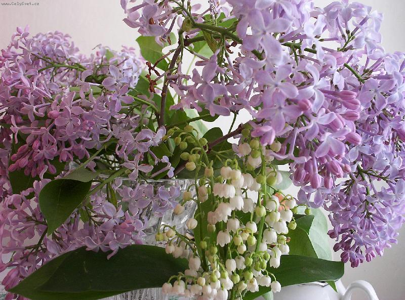 Foto: sestava kv�tu ve v�ze-doma v pokoji