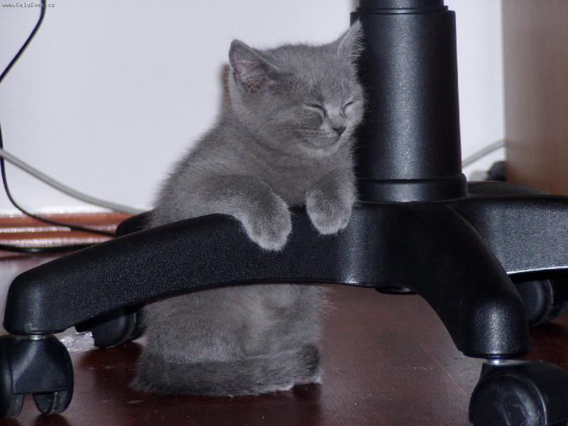 Foto: usnou se d� jakkoliv