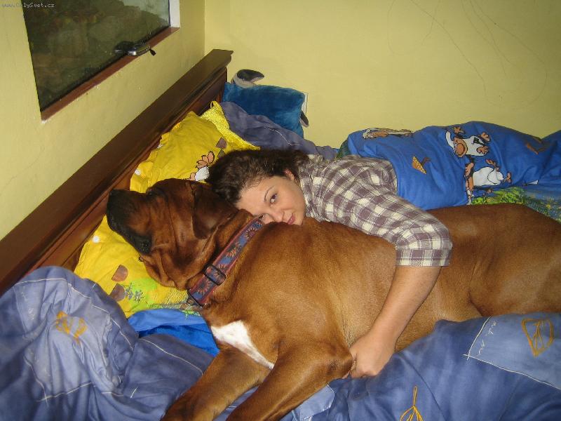 Foto: Nejlep�� mazl�k-pejsek se jmenuje Akagi