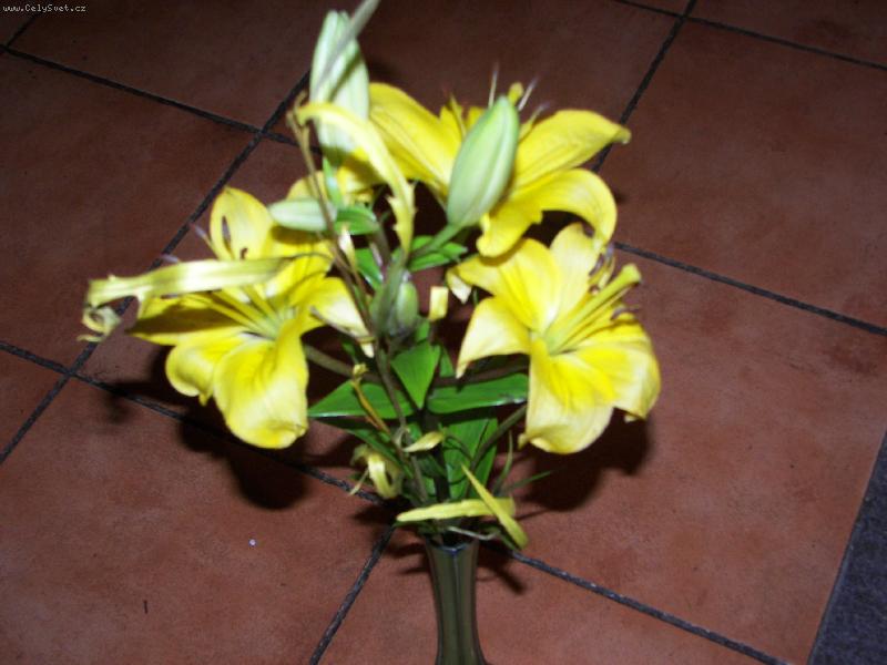 Foto: Kr�sa beze slov..-a jak von���