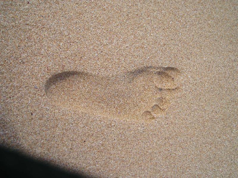 Foto: stopa v písku