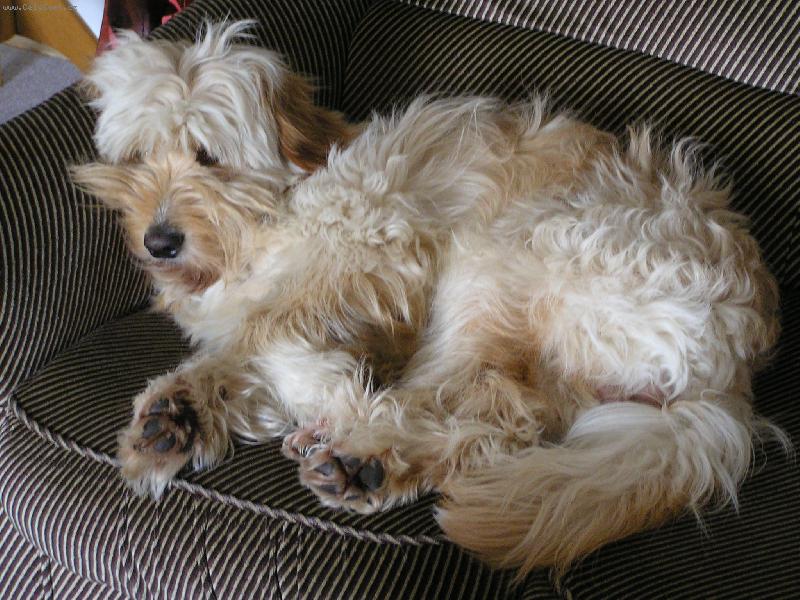 Foto: Mat�j��ek-. . . a spali a spali a . . .