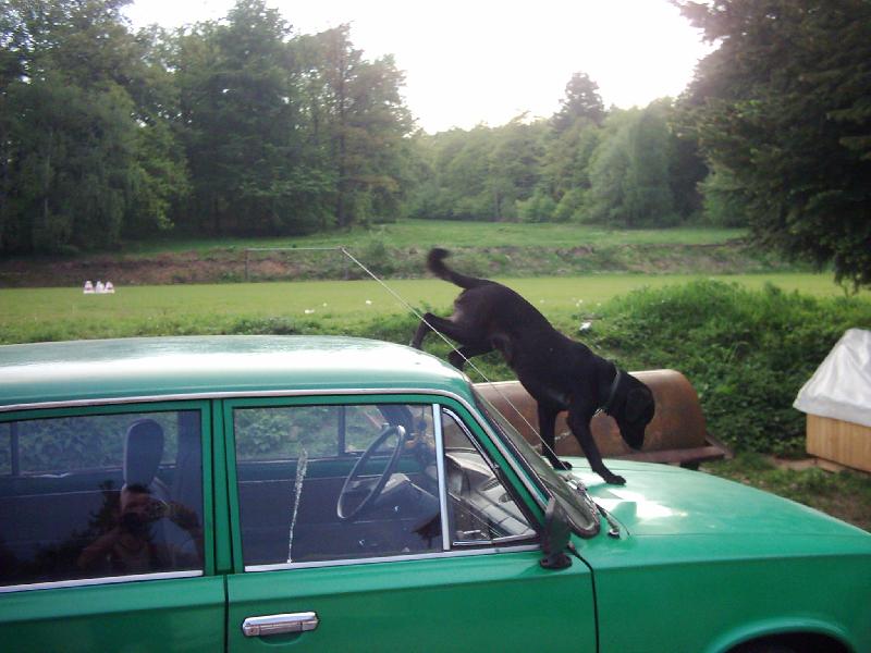 Foto: na  m�m aut� si m��u d�lat co chci...-na m�m aut� si m��u d�lat co chci...