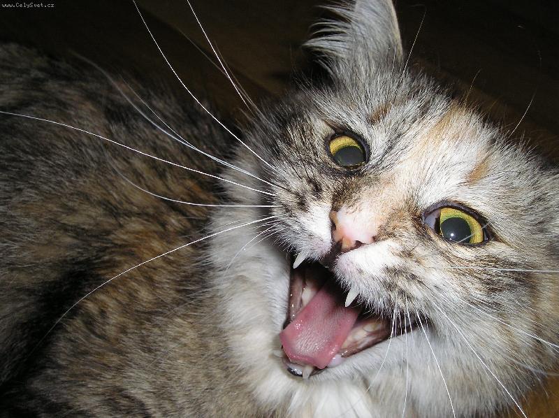 Foto: Uuu���!!