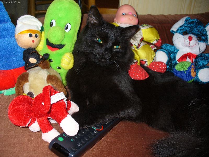 Foto: Mike�ek-Mezi ply���ky se �pln� ztrat�m.