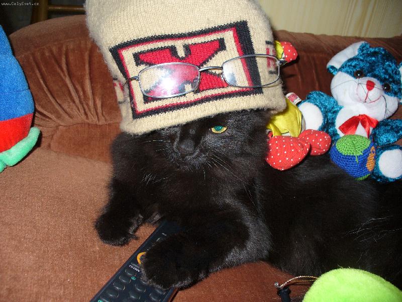 Foto: Mike�ek-Zav�ete to okno je mi zima!!!