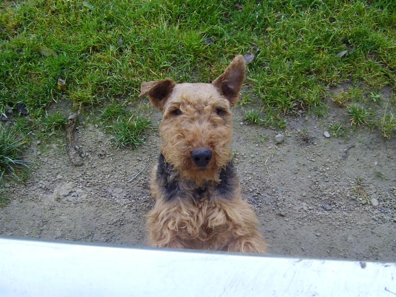 Foto: kuk!!!lekli ste se???