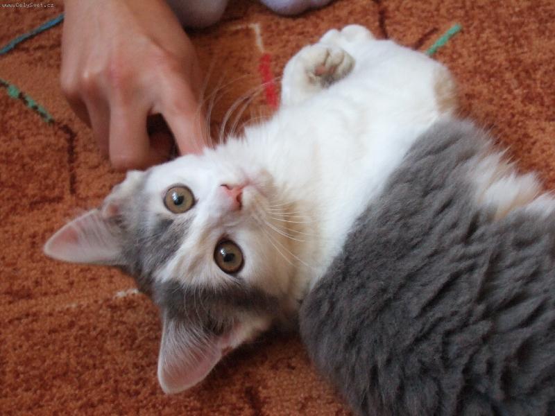 Foto: �i��=)-na�e koki