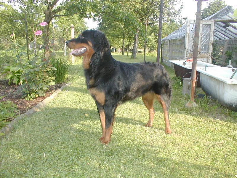 Foto: Sany-Sany - dcera Arga + Kory , jejich fotku taky pos�l�m