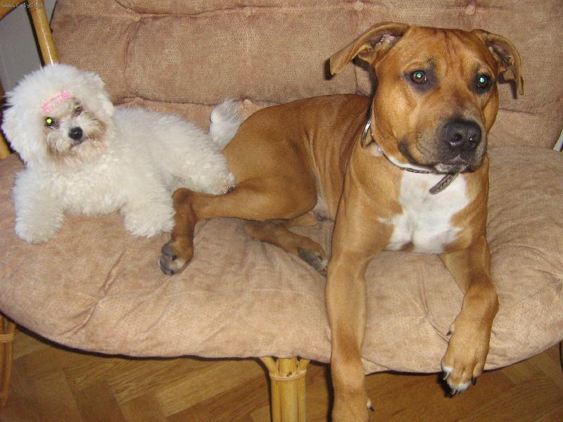 Foto: Argo�ek se svou kamar�dkou Shereen-A maj� se moc r�di!