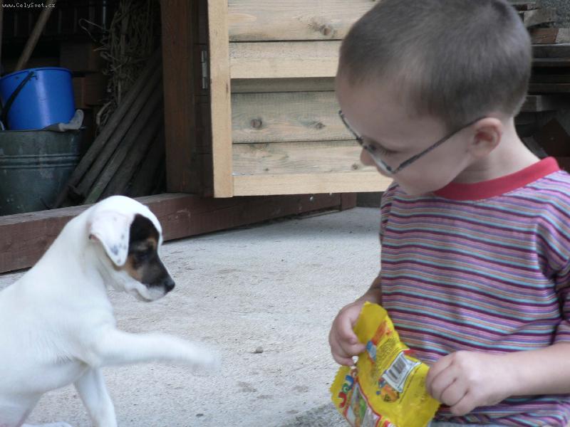 Foto: FATTY HOP TROP-Honz�ku tyhle bonb�ny jsou opravdu fakt dobr�