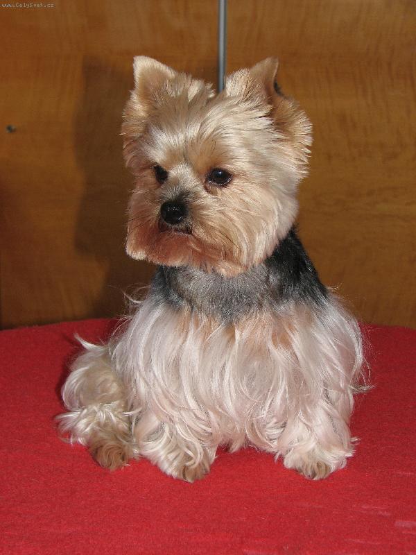 Foto: Elizabetka-L�b�m se V�m?