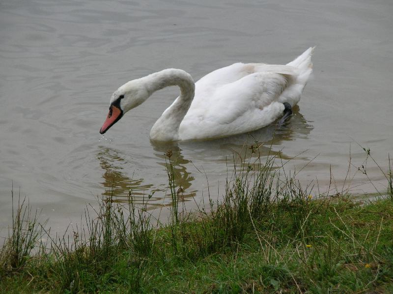 Foto: labu� na p�ehrad�