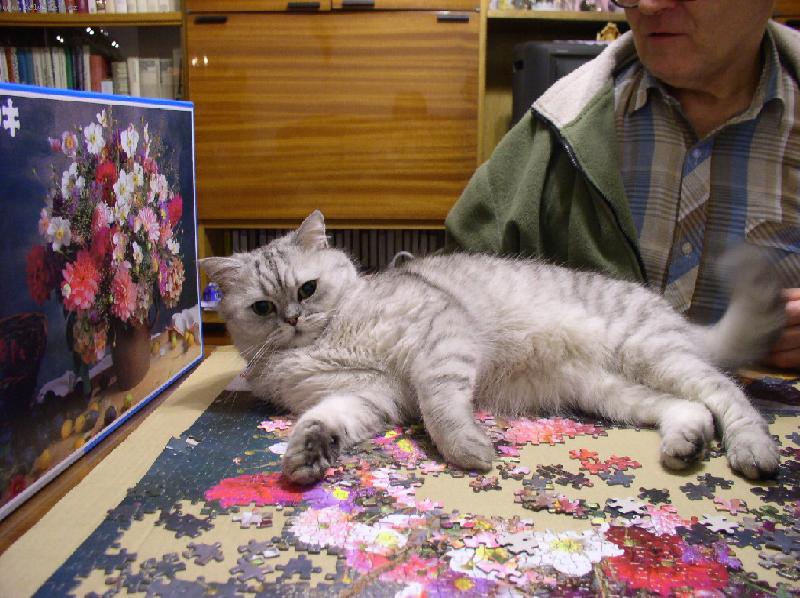 Foto: Z�kodn�k Filip-Nejlep�� z�bava-znemo�nit n�m skl�dat pucle