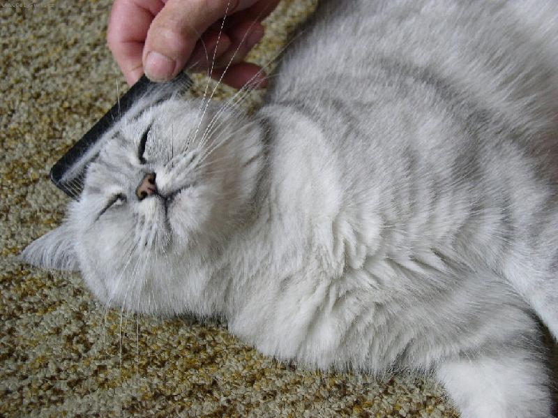 Foto: Fil�pek pohod��-Miluje/me ope�ov�v�n�