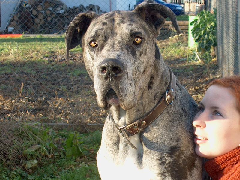 Foto: Nufl�k-Kdyby se to dalo vr�tit