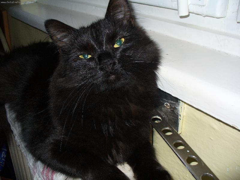 Foto: Mike�ek se nud�-Ach jo, venku leje!!!