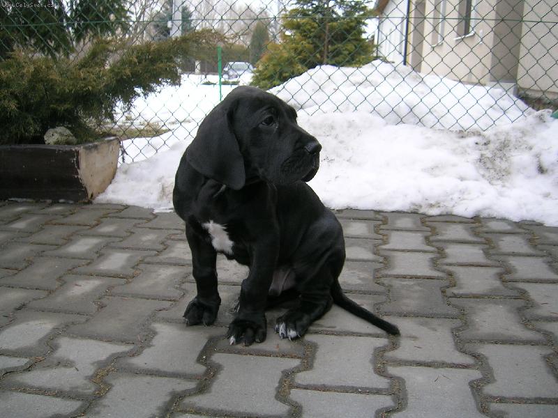 Foto: Tady te� budu bydlet?-1. den doma